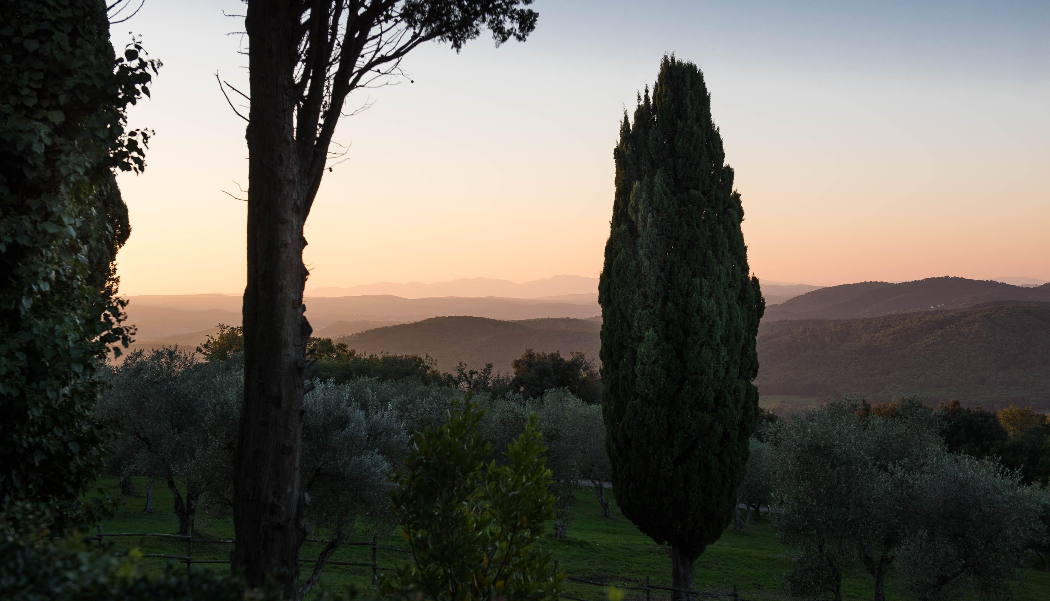 Tenuta La Bandita Sassetta Exterior photo