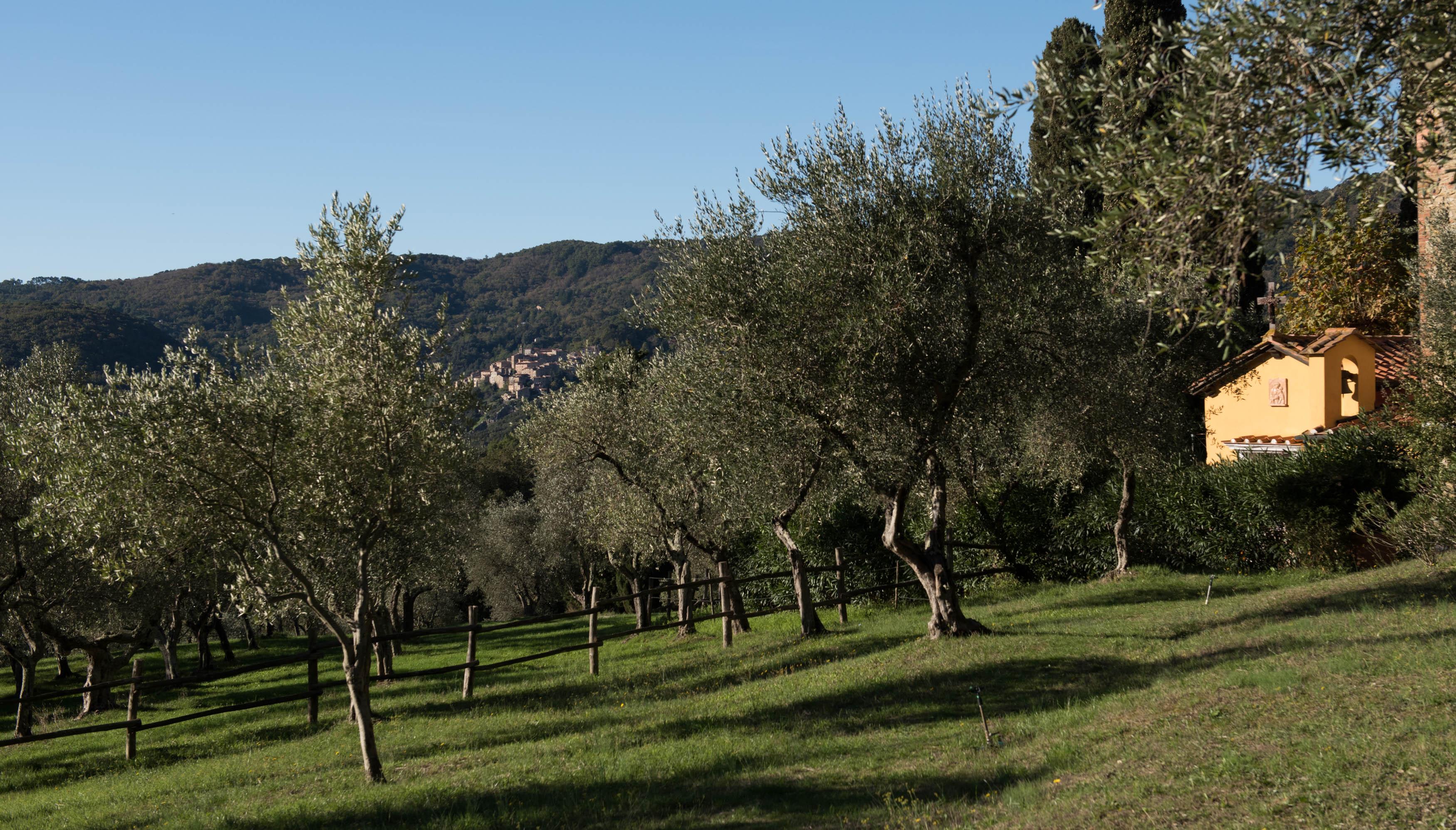 Tenuta La Bandita Sassetta Exterior photo